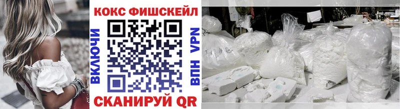 Купить закладки  Ядрин  Cocaine Эквадор 
