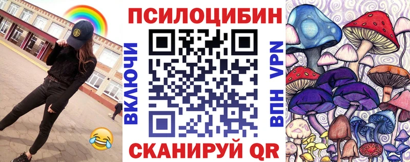 Псилоцибиновые грибы Psilocybine cubensis  Купить где  Ядрин 